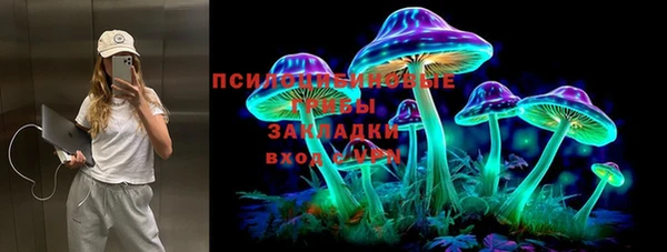 2c-b Богородицк