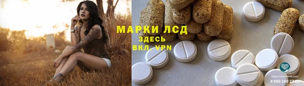 PSILOCYBIN Аркадак