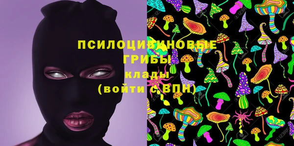 PSILOCYBIN Аркадак