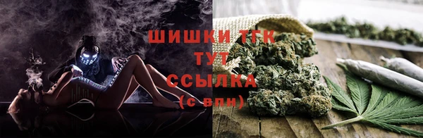 PSILOCYBIN Аркадак