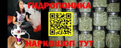 сатива Гусев