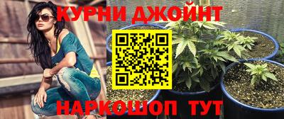 сатива Гусев