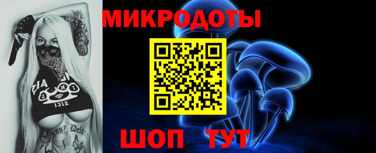 Нижний Новгород  Псилоцибиновые грибы Psilocybe  Вход с VPN 